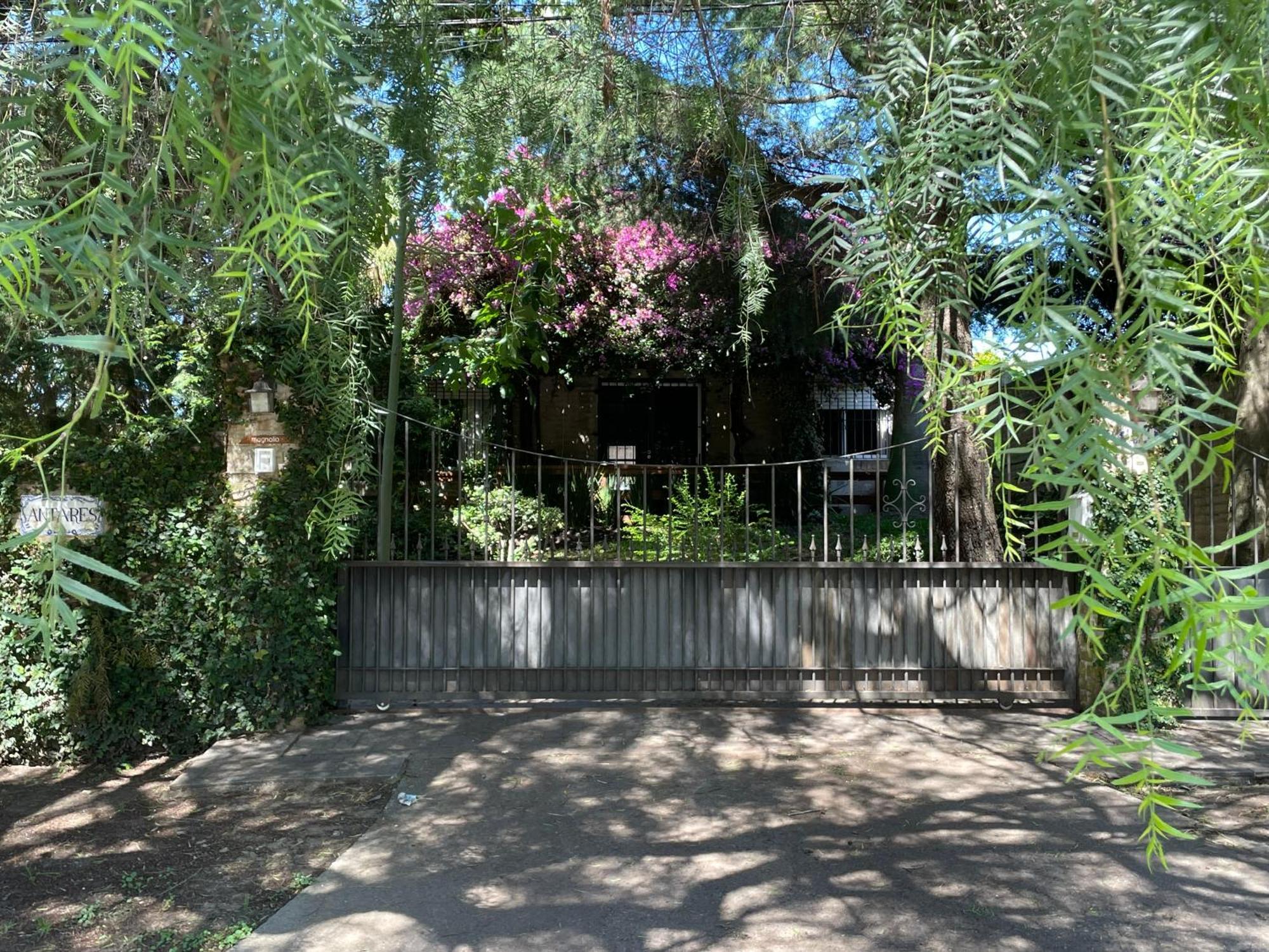 דירות קולוניה דל סקרמנטו Magnolio מראה חיצוני תמונה